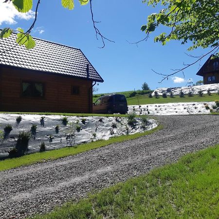 Domek Na Wzgorzu "Rys" Krempna Экстерьер фото
